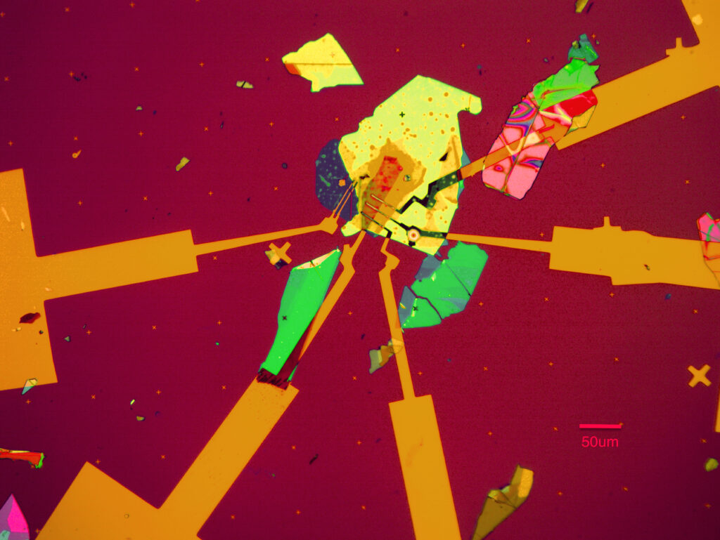 A microscope image of a micro-electronic device on a dark red background. Several yellow gold-plated electrodes lead toward the center, where they connect to a thin, irregular light-green flake. Other scattered shards of colorful materials, which are pink, green, and yellow, are spread around the area. A small red scale bar in the bottom right corner indicates a length of 50µm