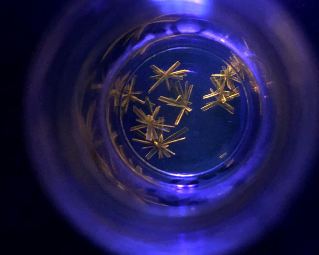 A top-down view looking into a glass vial or beaker under a purple UV light. Inside the dark blue liquid, several star-shaped, yellow-gold crystalline structures are visible. The crystals look like clusters of thin needles or shards radiating from a center point, glowing brightly against the dark, shadowy interior of the container.