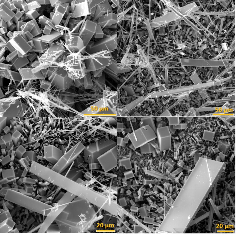 A four-panel composite of grayscale SEM images showing a mix of crystalline structures. The top panels feature large, rectangular block crystals interspersed with dense mats of thin, needle-like fibers. The bottom panels provide higher-magnification views of the same materials, emphasizing the sharp, clean edges of the prisms against the delicate needles. Scale bars in yellow indicate sizes ranging from 20µm to 50µm.