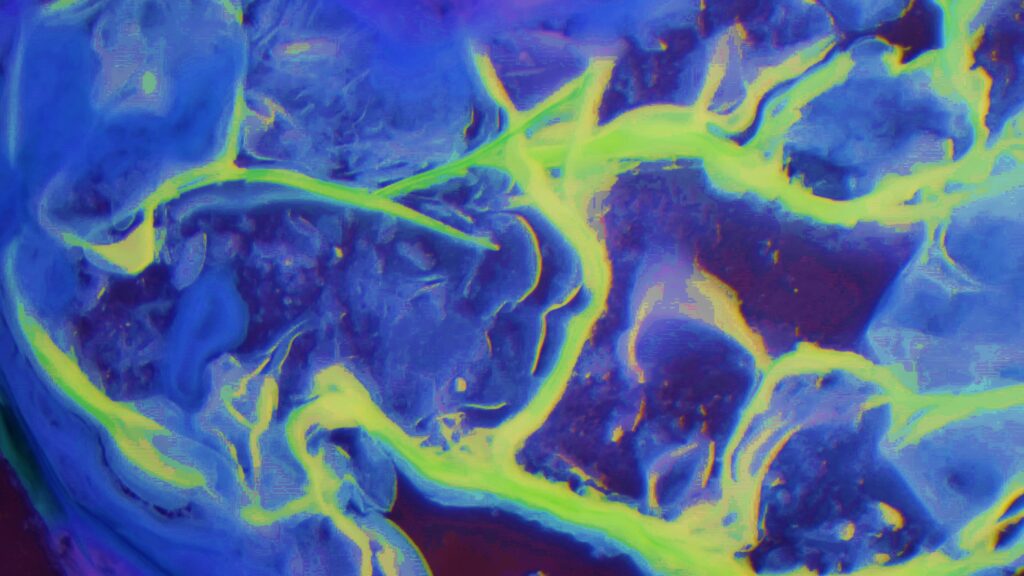 A clear Erlenmeyer flask containing a "chemical garden" produced by the reaction of sodium silicate with nickel, cobalt, and manganese. A dense, bright white mineral precipitate with an intricate, feathery, and fibrous texture is suspended in the center of the liquid, branching outward in delicate, coral-like formations.