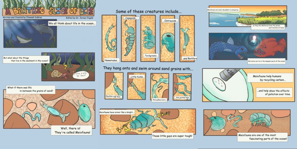 A multi-panel educational comic titled "A Benthic Slice of Life" about Meiofauna—tiny organisms that live between grains of sand in the ocean. The comic features colorful illustrations of various creatures, including Nematodes, Copepods, Tardigrades, Ostracods, and Rotifers. The panels explain how these microscopic animals use suction cup toes, hooks, and jointed legs to navigate their environment, highlighting their role in recycling carbon and indicating the effects of pollution