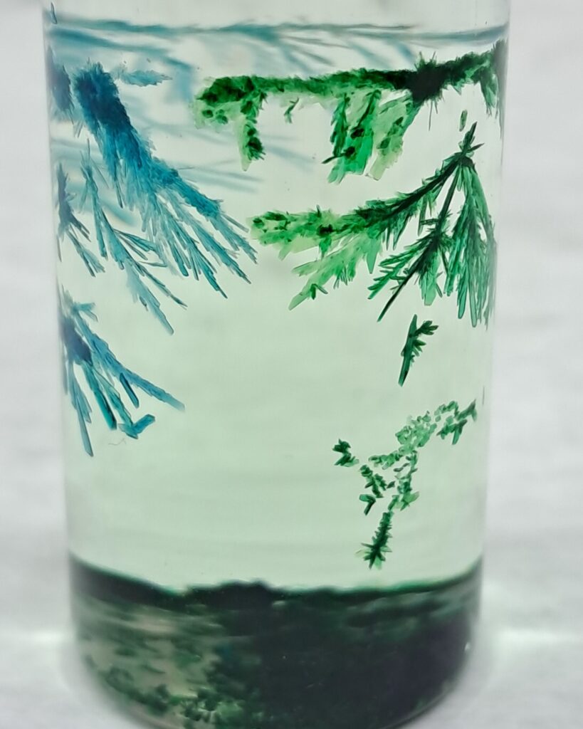 A close-up of a glass vial containing a "chemical garden" reaction. Intricate, needle-like mineral structures in vibrant shades of emerald green and deep sapphire blue grow downward from the top and upward from a dark sediment layer at the bottom. The structures resemble delicate crystalline branches or pine needles suspended in a clear liquid.