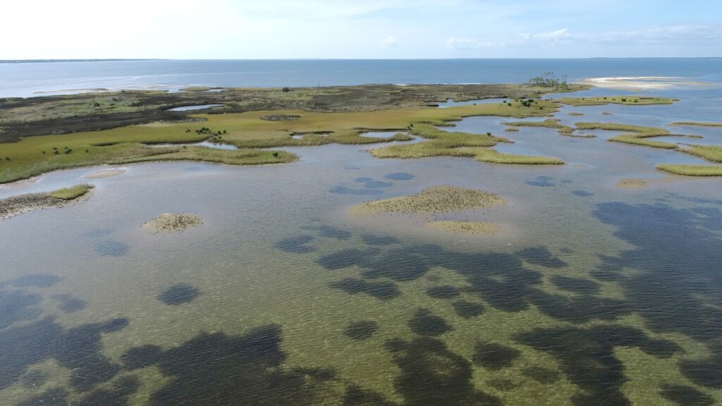An aerial, high-angle view of a coastal marshland and estuary. Patches of green and golden marsh grass islands are scattered throughout shallow, clear water. In the foreground, dark submerged vegetation is visible through the water's surface, while the horizon shows a large body of open blue water under a pale sky.