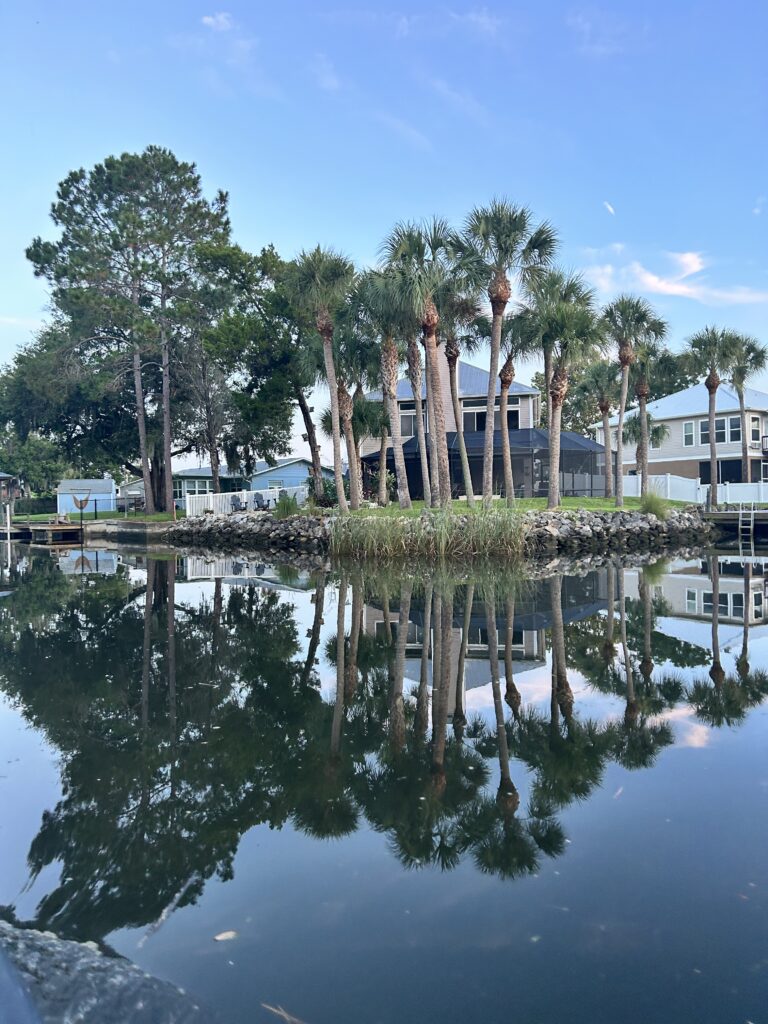 A photograph of a waterfront property with a row of tall palm trees. The trees and a two-story house are perfectly reflected in the calm, dark water of a canal or inlet under a clear blue sky.