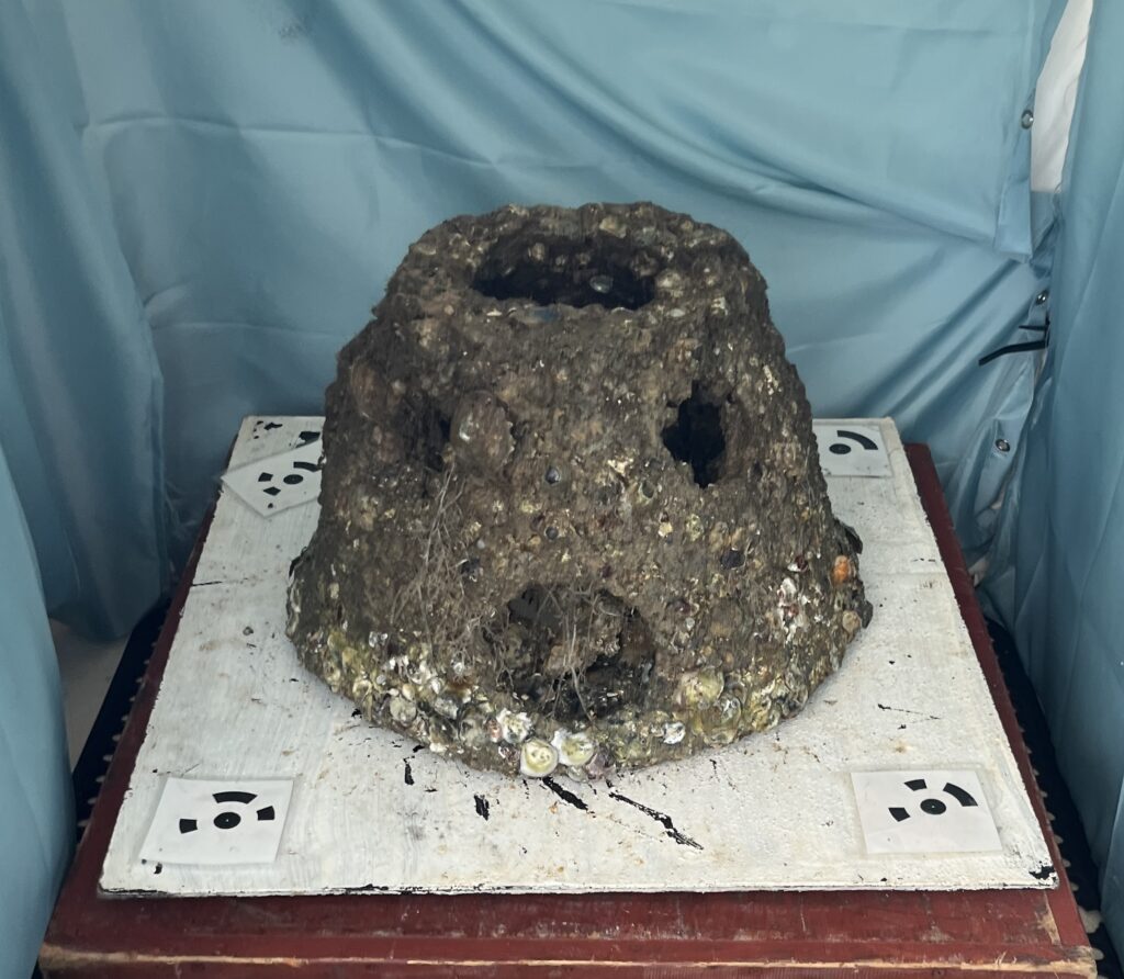 A dome-shaped artificial reef structure encrusted with barnacles and shells. The brown, textured object has a large opening at the top and several arched ports around the sides. It sits on a white platform with 3D-tracking markers against a light blue backdrop.