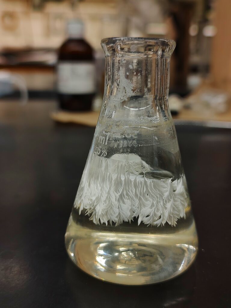 A clear Erlenmeyer flask containing a clear liquid and a suspended, bright white fibrous mass. The white substance has a feathery, crystalline texture and occupies the center of the flask. The flask sits on a dark bench in a blurred laboratory setting.