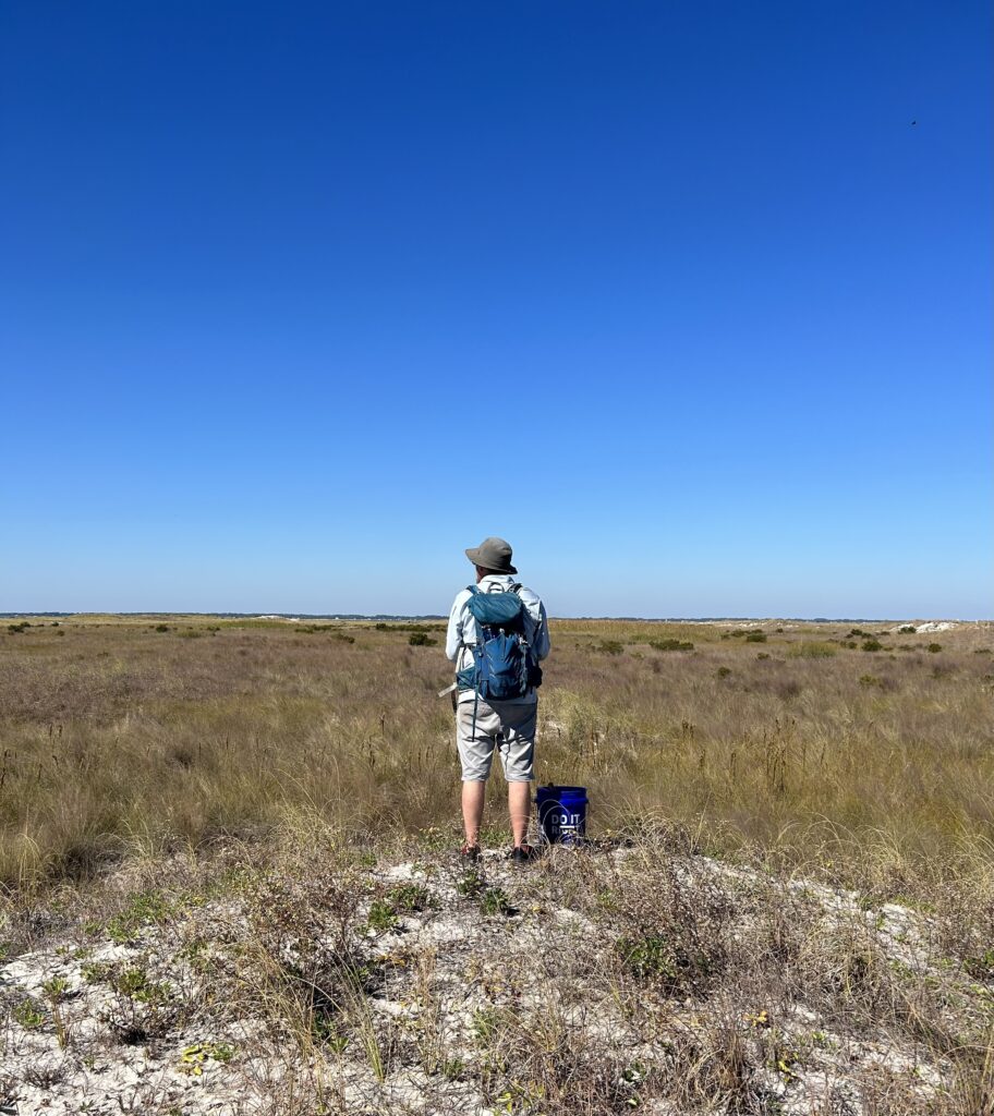 A person in a sun hat and blue backpack stands in a field of tall brown grass under a clear blue sky. A blue bucket sits on the sandy ground at their feet. The person is facing away from the camera toward a flat horizon.