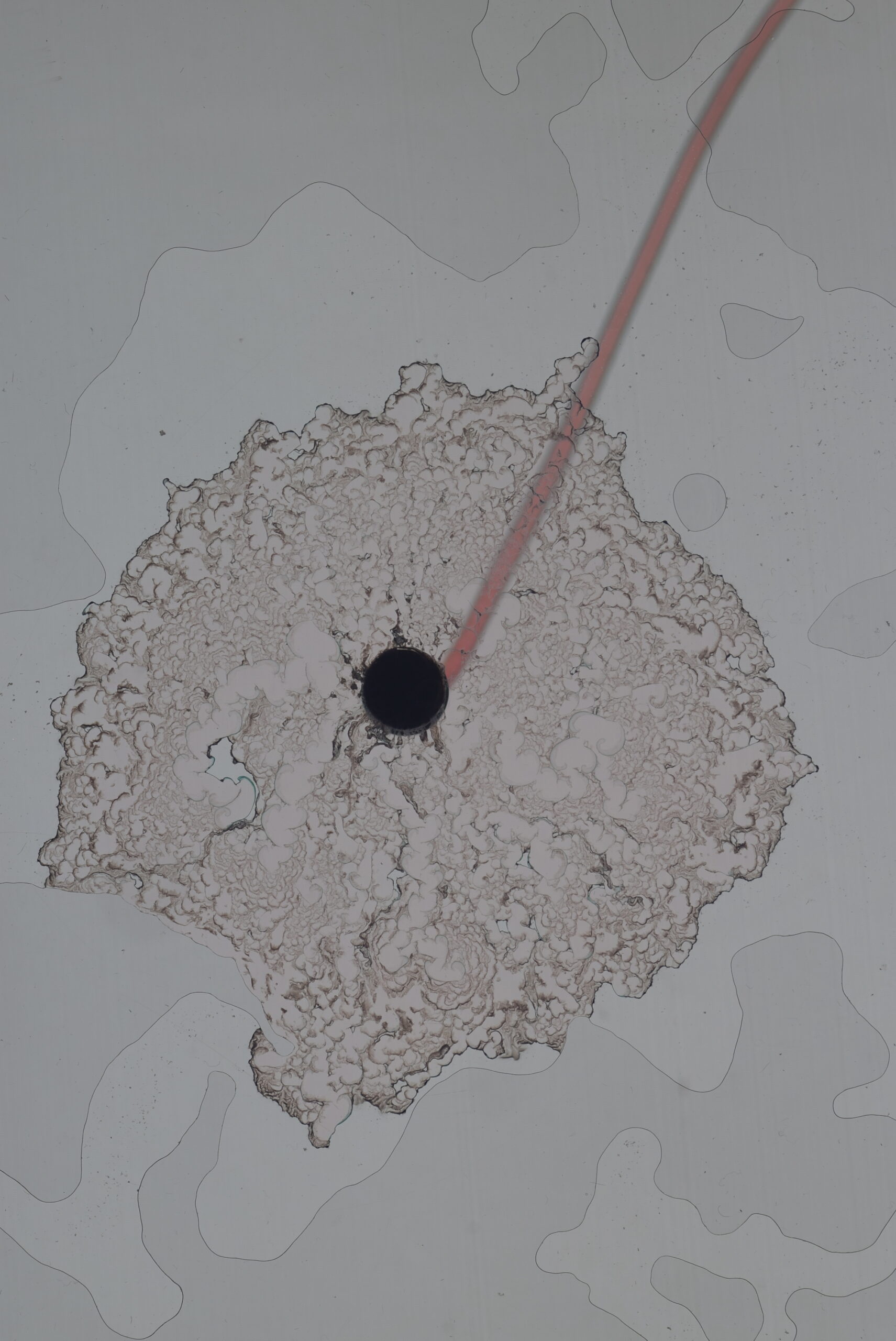 Precipitation in (Quasi)2D