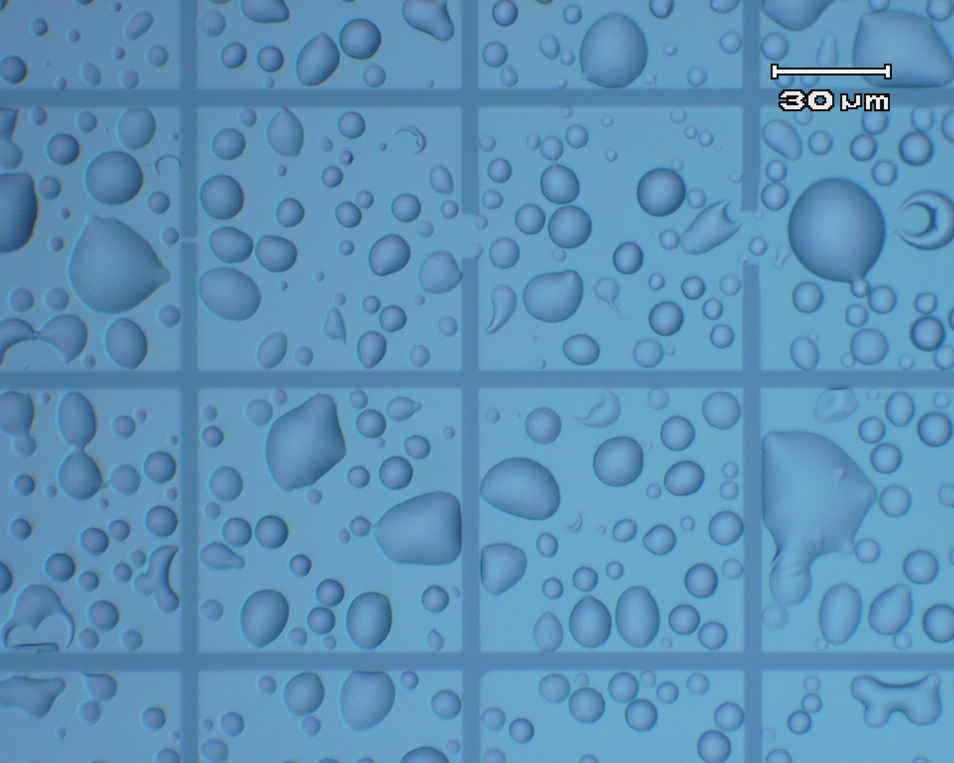 Bubbles