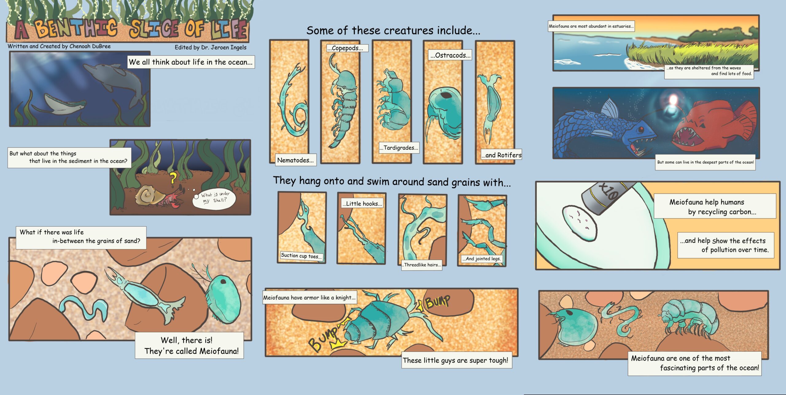 A Benthic Slice of Life