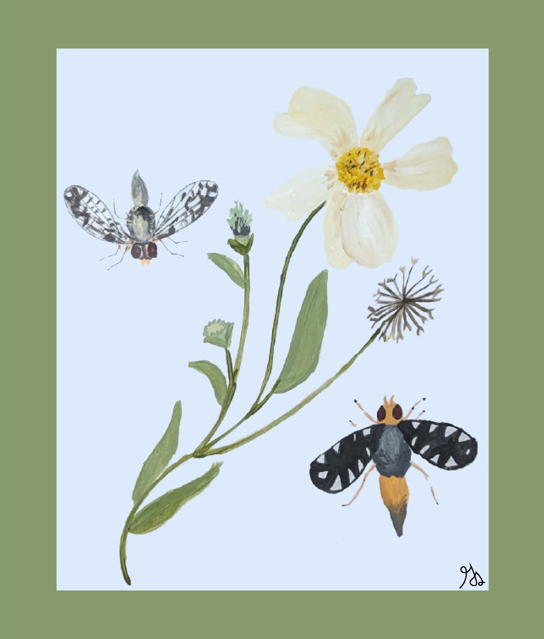 Bugs and Buds