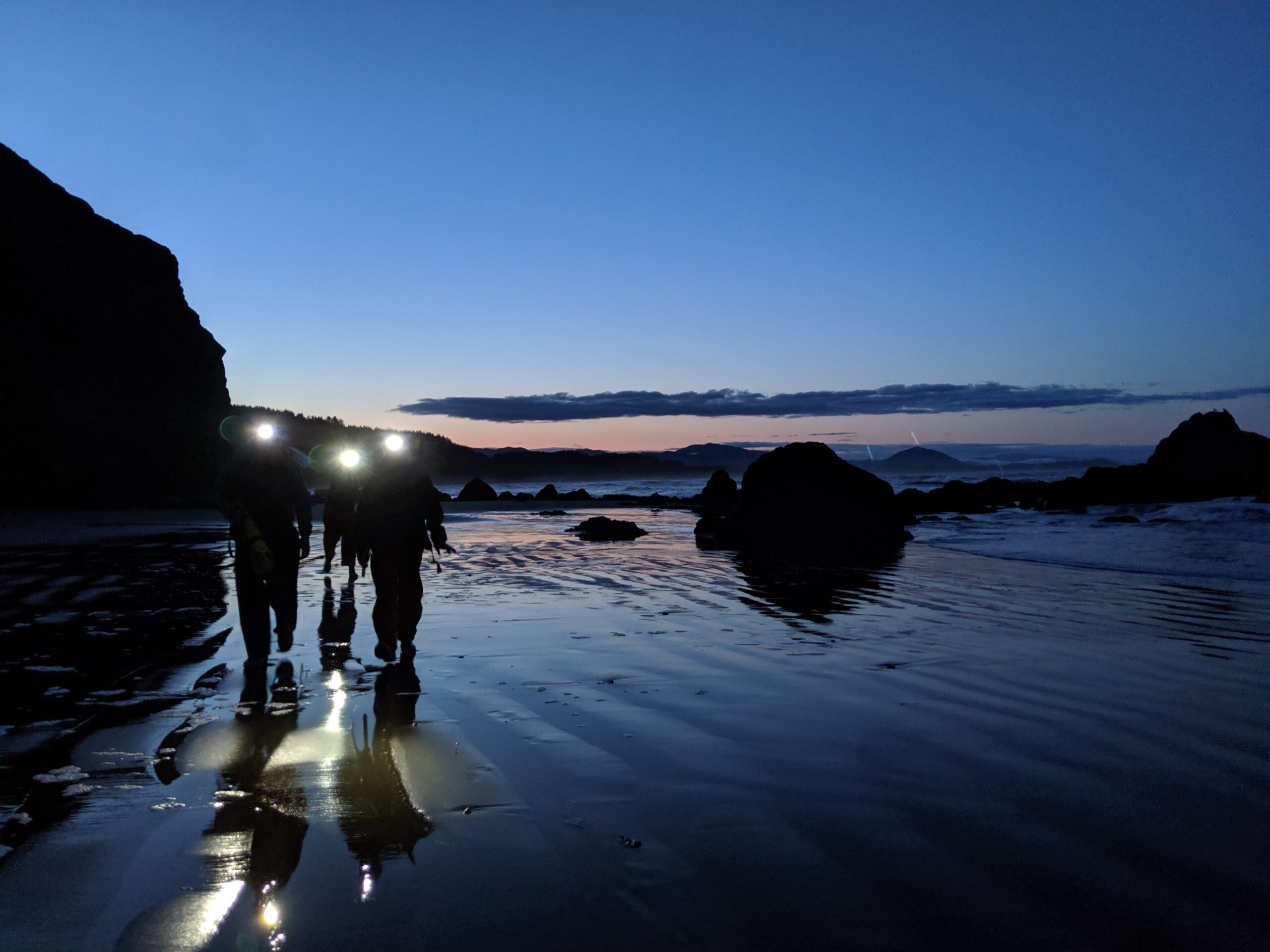 Chasing the tides