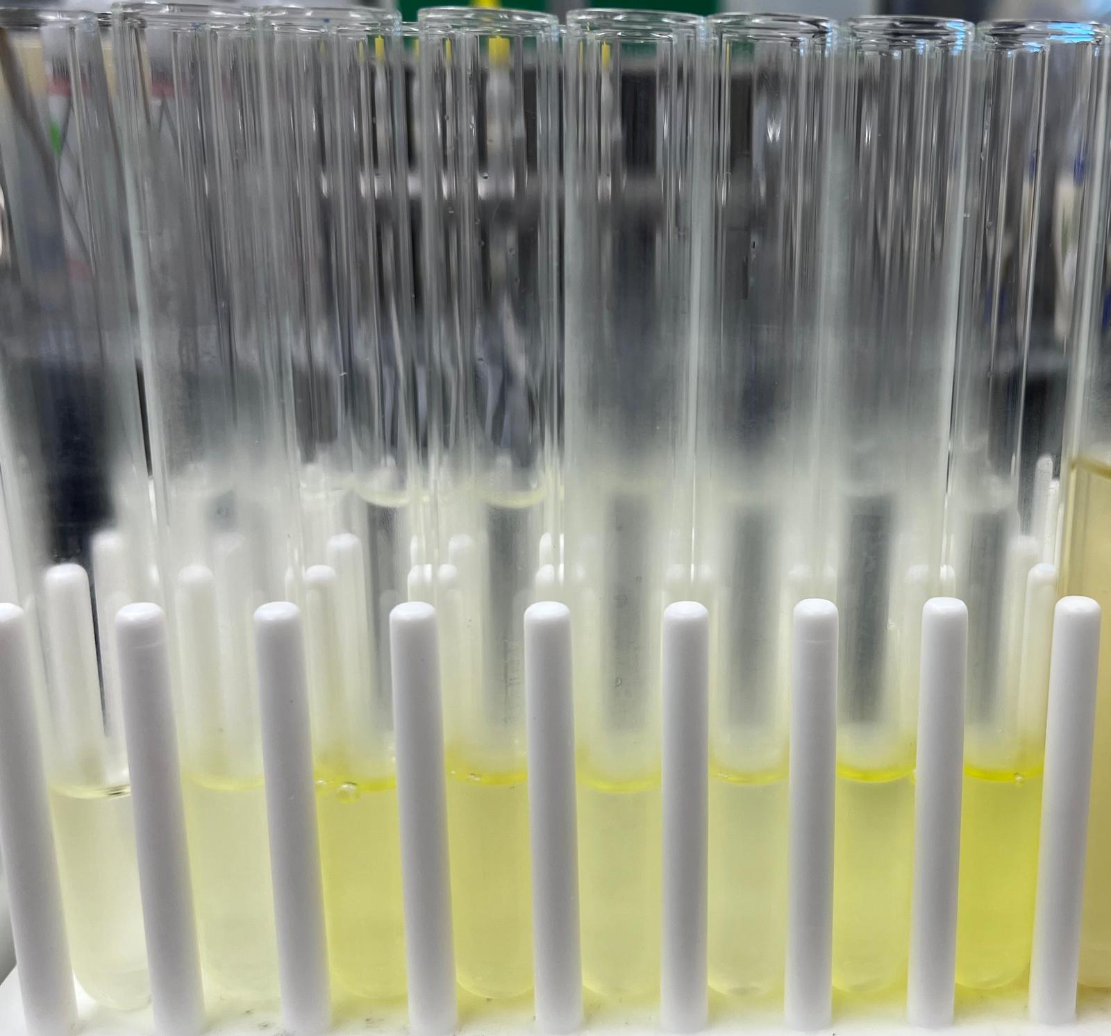 When your experiments give you Lemons, make some Flavoproteins!!