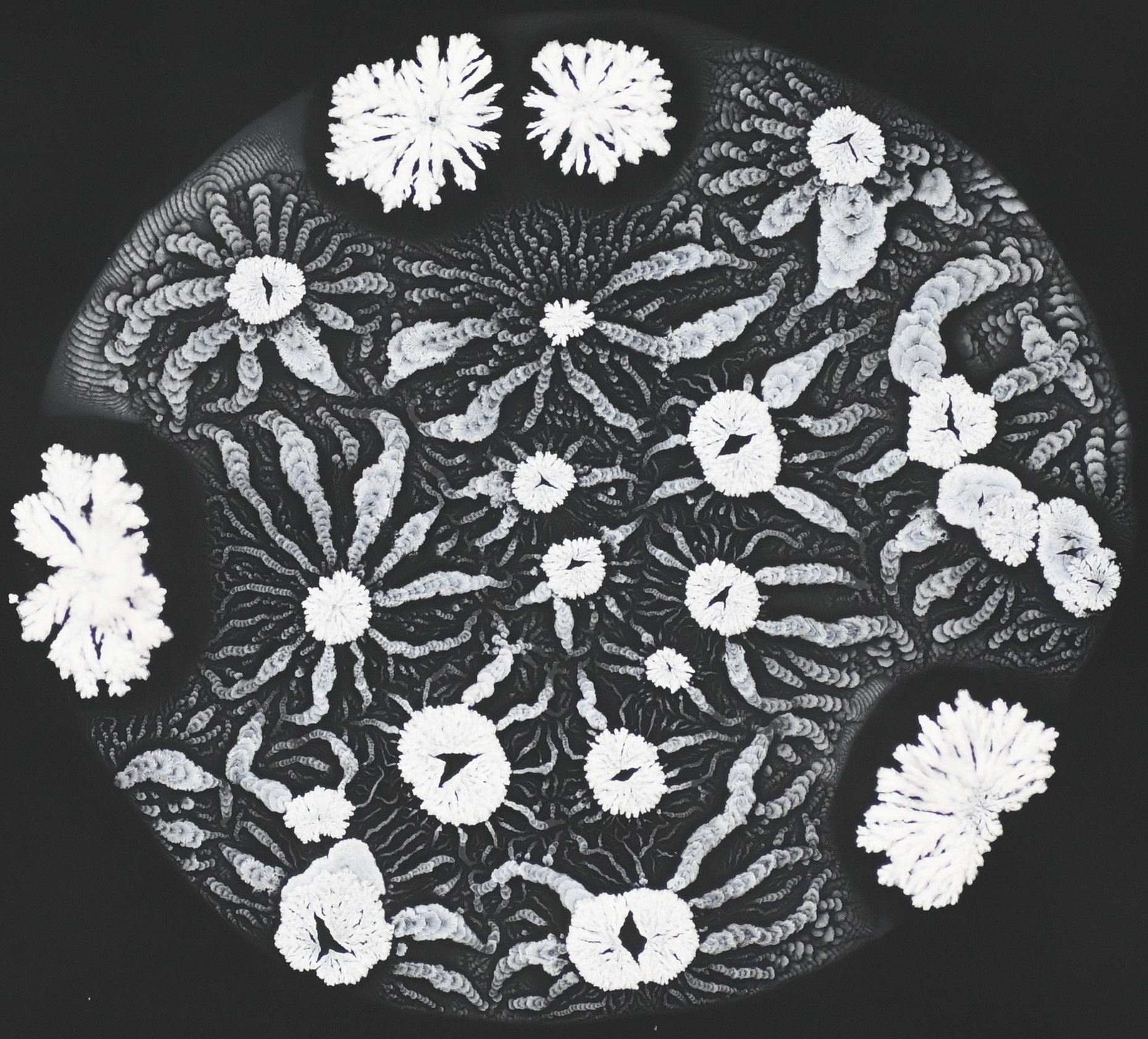 Patterns of a Drying World