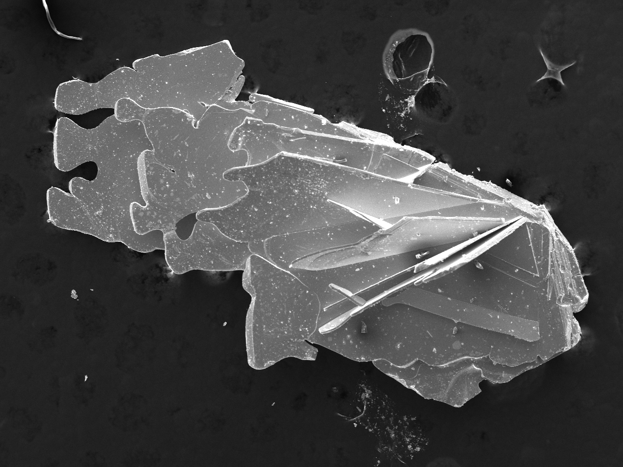 SEM Imaging of Polycrystalline Samples of Cr Intercalated TaTe2