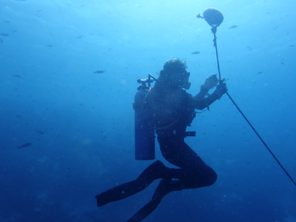 A silhouette of a scuba diver in profile against a deep blue underwater background. The diver wears a full wetsuit, fins, and a scuba tank while holding a long, thin pole or scientific sampling tool that extends vertically toward the surface. The water is a lighter turquoise at the top and fades to a dark navy at the bottom, with a few small, faint silhouettes of fish in the distance