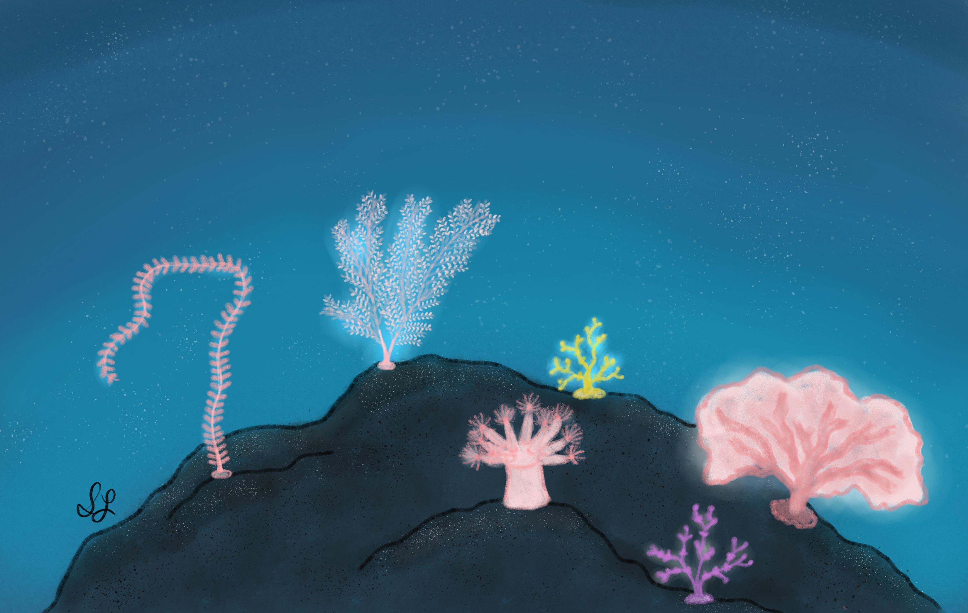 Gardens of the Deep