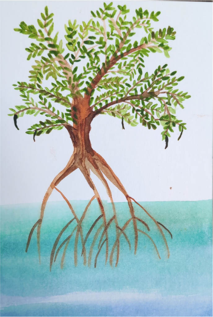 Mangrove Watercolor