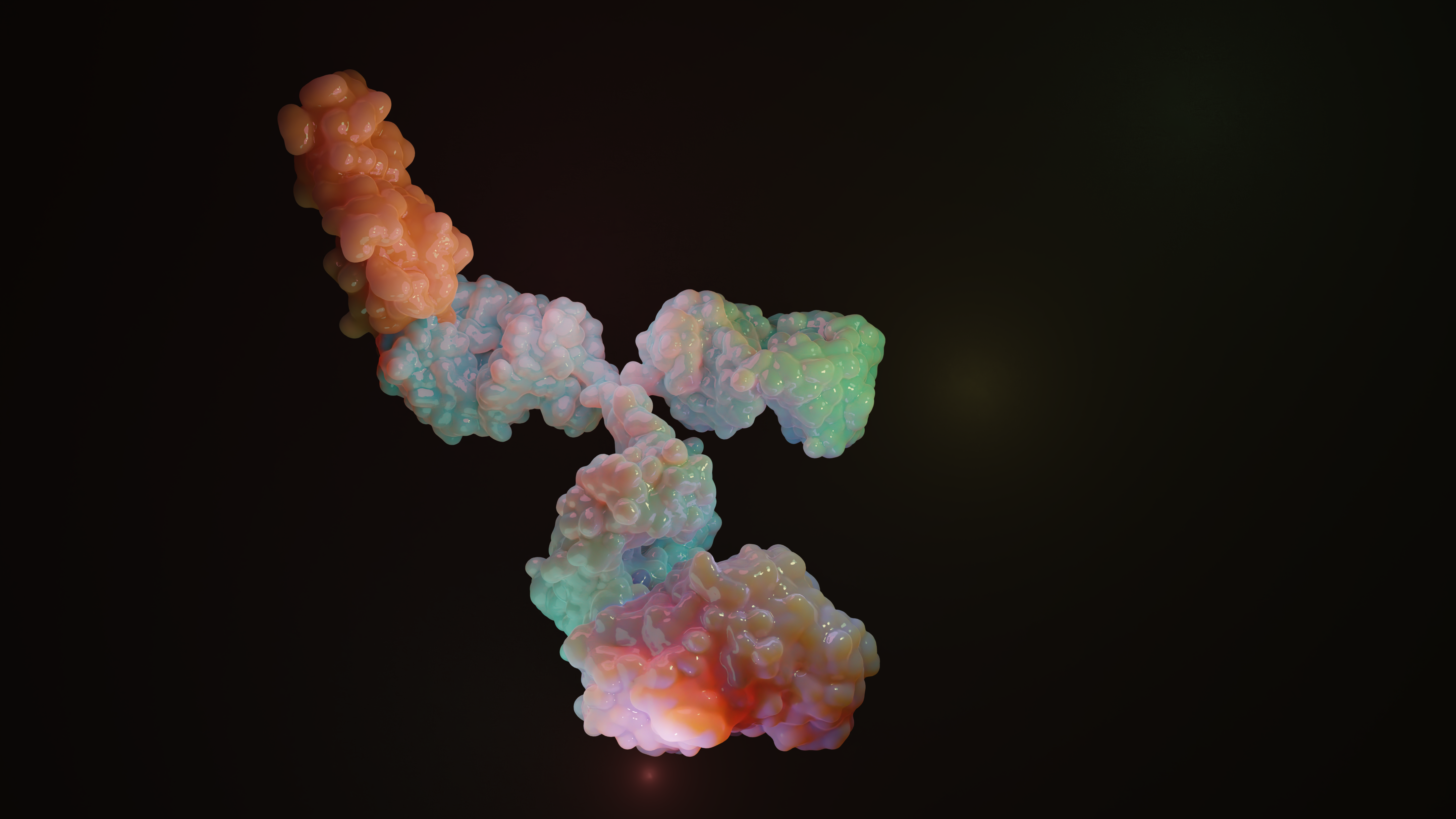Antibodies with a Style