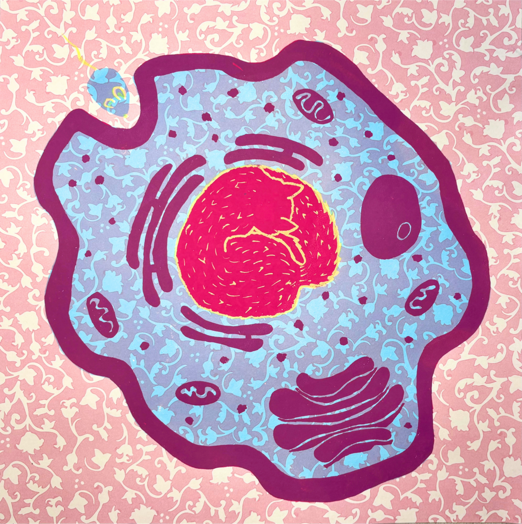 Screen print of animal cell and cat napping.