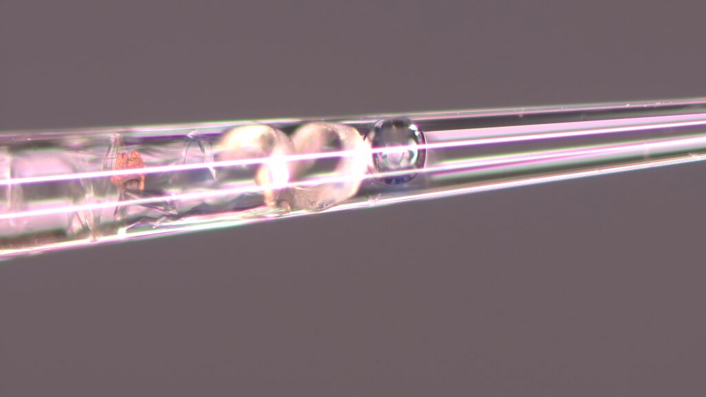 Nanopipettes taper into a nanometer-sized pore.